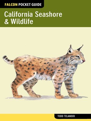 cover image of California Seashore & Wildlife
